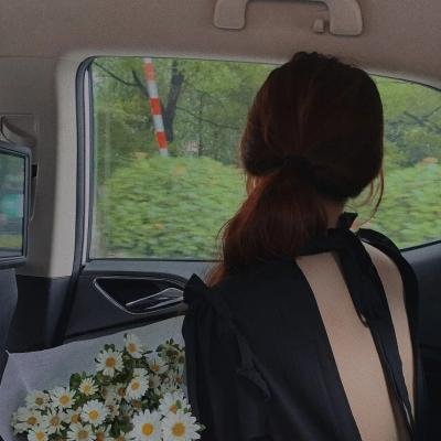 巅峰拍档第十九季