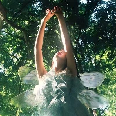 黑白无双第二季